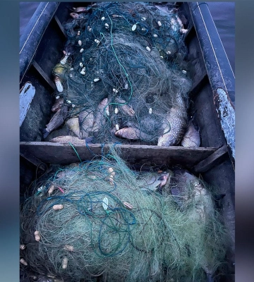 На Полтавщині в заповіднику незаконно виловили риби на 800 тисяч гривень