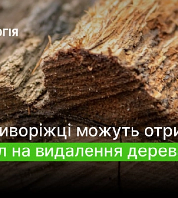 Як криворіжці можуть отримати дозвіл на видалення дерева