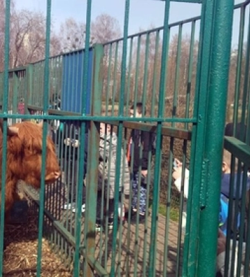 У Луцькому зоопарку відновили екскурсії