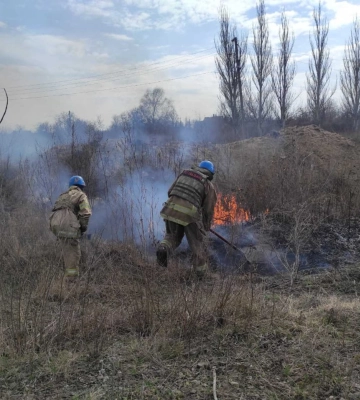 У Донецькій області зросла кількість пожеж на відкритих територіях - ДСНС