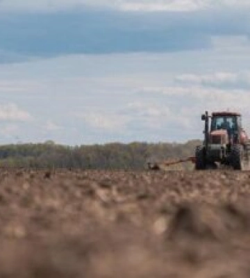 На Житомирщині триває підживлення озимих культур