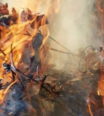Жінка запалила сухе листя і згоріла живцем сама