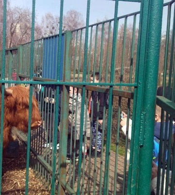 У Луцькому зоопарку відновили екскурсії та змінили графік роботи