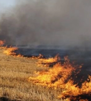На Полтавщині під час спалювання стерні загинула пенсіонерка