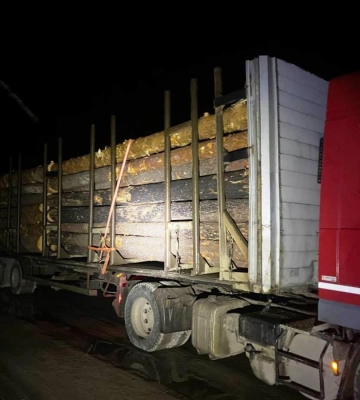 Вантажівку та 43 куби незаконної деревини із Житомирщини поліцейські вилучили на Рівненщині