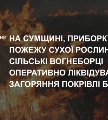 У Сумському районі пожежа на відкритій території перекинулась на будівлю