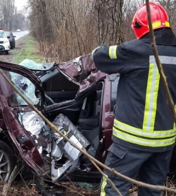 У Дніпропетровській області авто влетіло у дерево: постраждав водій
