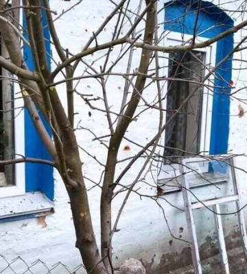 Росіяни двічі за добу обстріляли прикордоння Чернігівщини, - ОК &quot;Північ&quot;. ФОТО