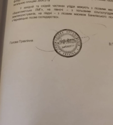4 тисячі гектарів лісів Буковини віддадуть двом громадським організаціям на 25 років