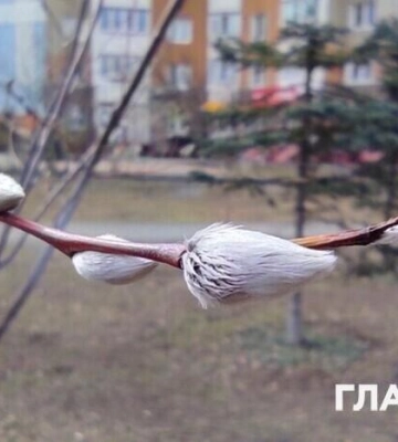 Хмарно з проясненнями, подекуди опади: прогноз погоди на 27 березня