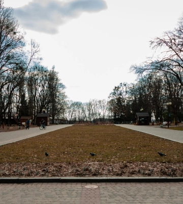 Дощі, невеликий сніг та похолодання: якою буде погода у Полтаві протягом тижня
