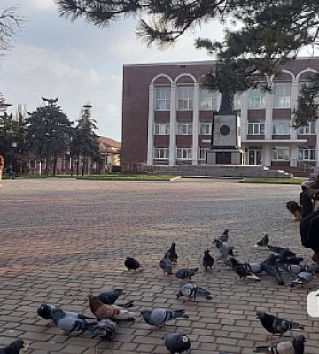 З початку року у Кривому Розі зареєструвались ще 2300 переселенців