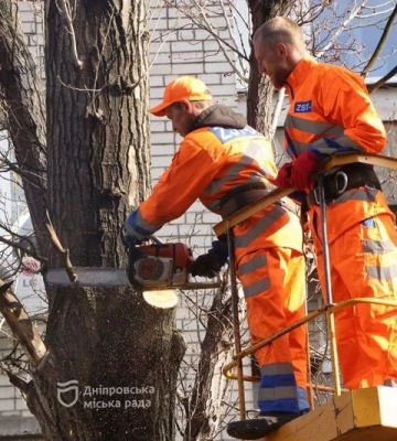 У Дніпрі виконали чергове звернення мешканців до Штабу взаємодопомоги Громадської ради — омолодили та видалили дерева на просп. Героїв, 17