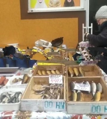 Цены на продукты в Мелитополе шокируют даже на ярмарках