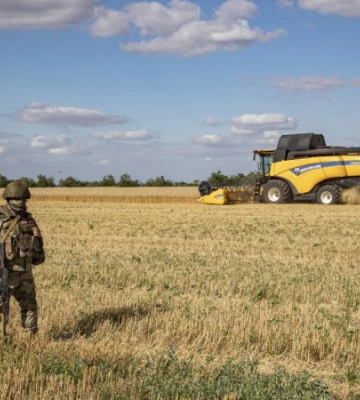 Окупанти запланували вивезти із Запорізької області мільйон тонн зерна