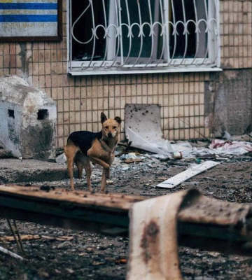 «Ми сидимо тут, ні за що не платимо»: в Авдіївці батьки ховають дітей від евакуації