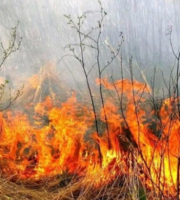 Вигоріло 4 га: на Харківщині продовжують підпалювати сухостій