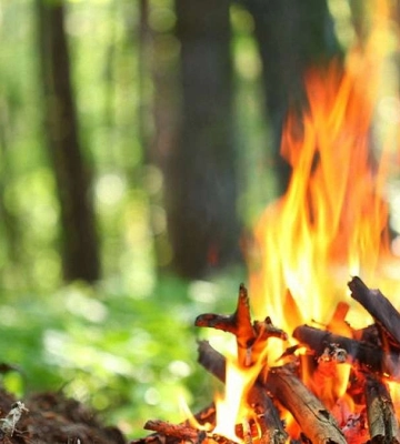 На Закарпатті заборонили розпалювати багаття у лісових масивах