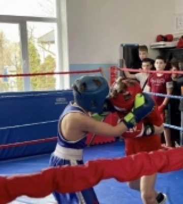 У Нововолинську змагалися юні боксери