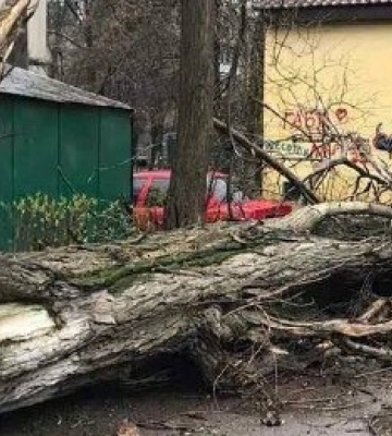 Через негоду на Одещині виведено з ладу 134 трансформаторні підстанції
