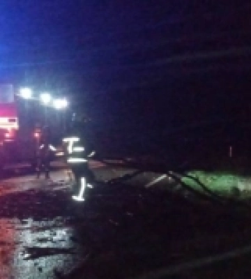 У Луцькому районі негода повалила дерева на проїжджу частину