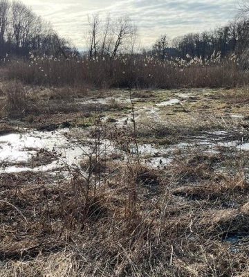 Злила нечистоти в ярок —  посадовицю з Полтавщини підозрюють у забрудненні 7000 кв. м землі