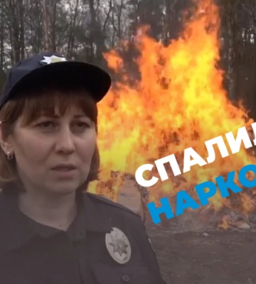 На Житомирщині поліцейські знищили наркотиків на понад 2 млн грн. ВІДЕО