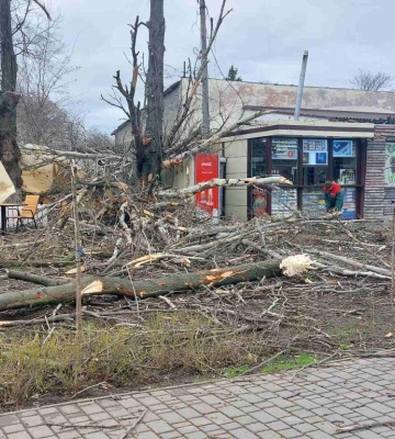 В Одесі комунальники ліквідовують наслідки негоди