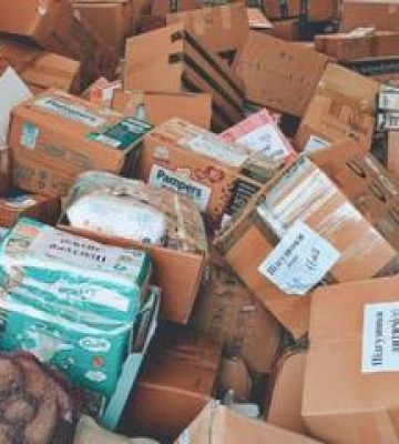 На Полтавщині троє дроворубів заподіяли державі збитки на суму майже 900 тисяч гривень