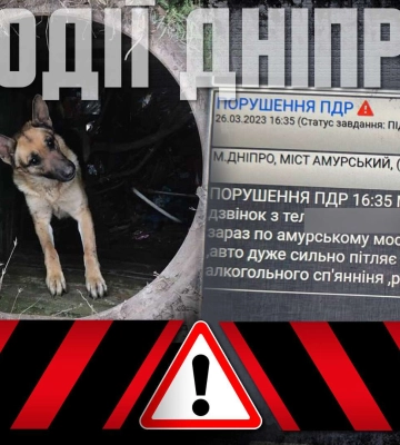 Ліквідації шахрайських схем, порятунок чотирилапого та інші новини Дніпра 28 березня в одному відео