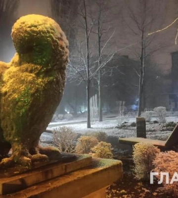 Столицю засипає снігом (відео, фото)