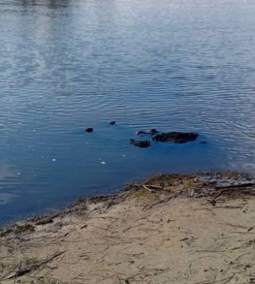 У Сумах з річки підняли тіло невідомого