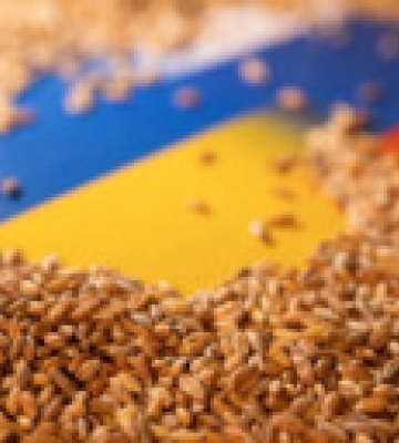 Позиция Украины по зерновому коридору остается неизменной - посол МИД Позиция Украины по зерновому коридору остается неизменной - посол МИД