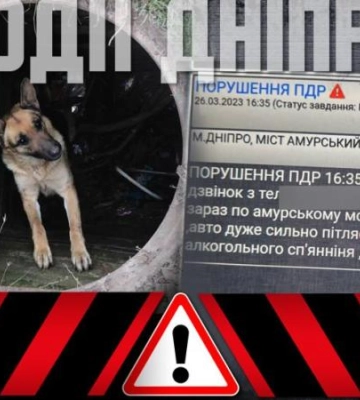 Порятунок чотирилапого та ліквідація &quot;схем&quot;: огляд подій Дніпропетровщини за 28 березня