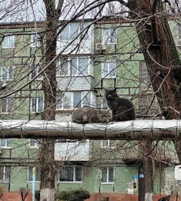 На Никопольщине громаде вернули часть теплосетей стоимостью 14 миллионов гривен