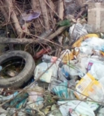 У Мукачеві комунальники прибрали стихійні сміттєзвалища