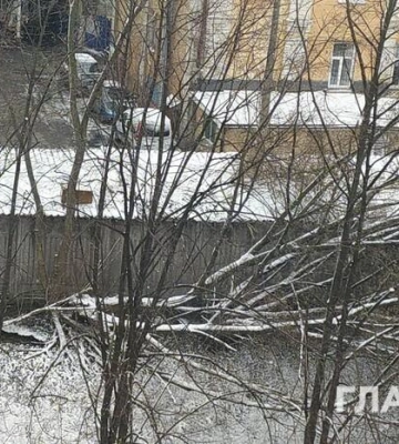 Повалені дерева, розбиті авто: наслідки негоди у столиці 