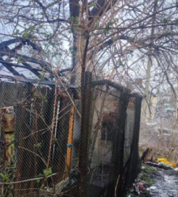 У Бориславі рятувальники гасили пожежу в господарській будівлі (ФОТО)