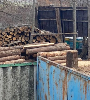 На Миколаївщині затримали чергову банду «чорних лісорубів»