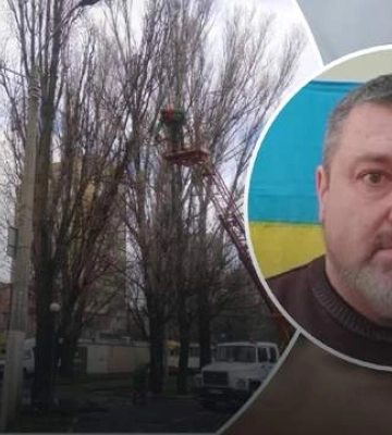 Серйозні травми: в Одесі негода повалила дерево просто на людей