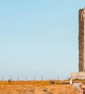 Неймовірна Одещина: в області знаходиться найбільша гранітна статуя в світі