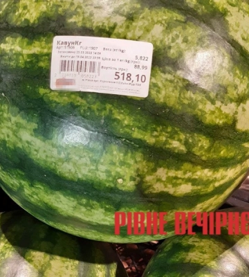 Рівнянам продають кавуни по пів тисячі гривень (ФОТО)