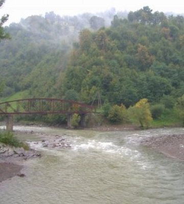 На Закарпатті вводиться нерестова заборона вилову риби (Список дозволених місць)