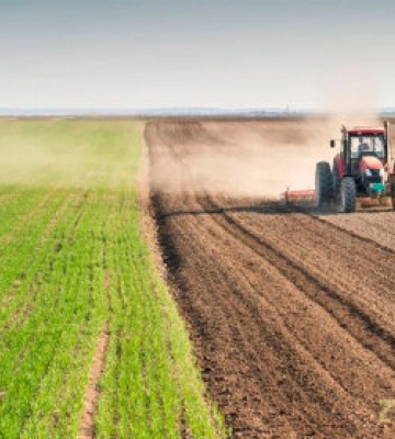 Посівна у 2023 році: аграрії Житомирщини планують збільшити посівні площі під зерновими культурами