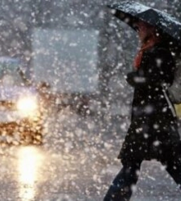У Житомирі за добу 28 березня випала майже місячна норма опадів