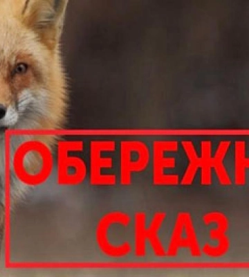 У громаді на Рівненщині виявили сказ