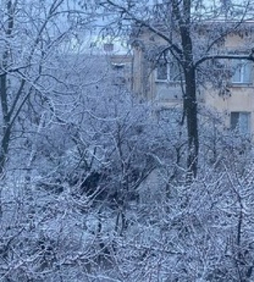 Зима заблукала: заворожуючі кадри снігу, що випав у Криму