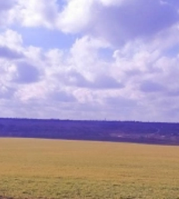 Посівна компанія на Херсонщині: жодної грантової, державної підтримки, банківського кредитування аграрії не отримували