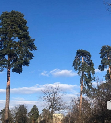 Погода в Кривом Роге 17 марта