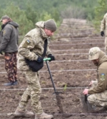 На деокупованих територіях Миколаївщини садять ліс